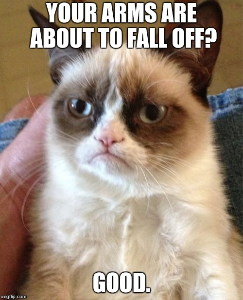 Grumpy Cat Meme | YOUR ARMS ARE ABOUT TO FALL OFF? GOOD. | image tagged in memes,grumpy cat | made w/ Imgflip meme maker