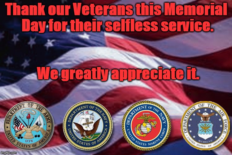 Memorial Day is Everyday | Thank our Veterans this Memorial Day for their selfless service. We greatly appreciate it. | image tagged in memorial day is everyday | made w/ Imgflip meme maker