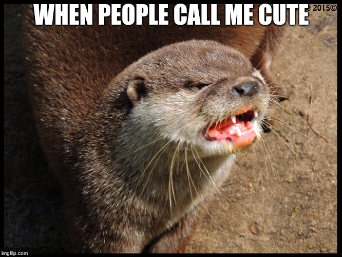 WHEN PEOPLE CALL ME CUTE | made w/ Imgflip meme maker