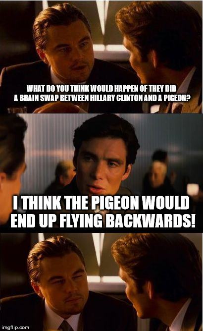 Inception Meme | WHAT DO YOU THINK WOULD HAPPEN OF THEY DID A BRAIN SWAP BETWEEN HILLARY CLINTON AND A PIGEON? I THINK THE PIGEON WOULD END UP FLYING BACKWARDS! | image tagged in memes,inception | made w/ Imgflip meme maker