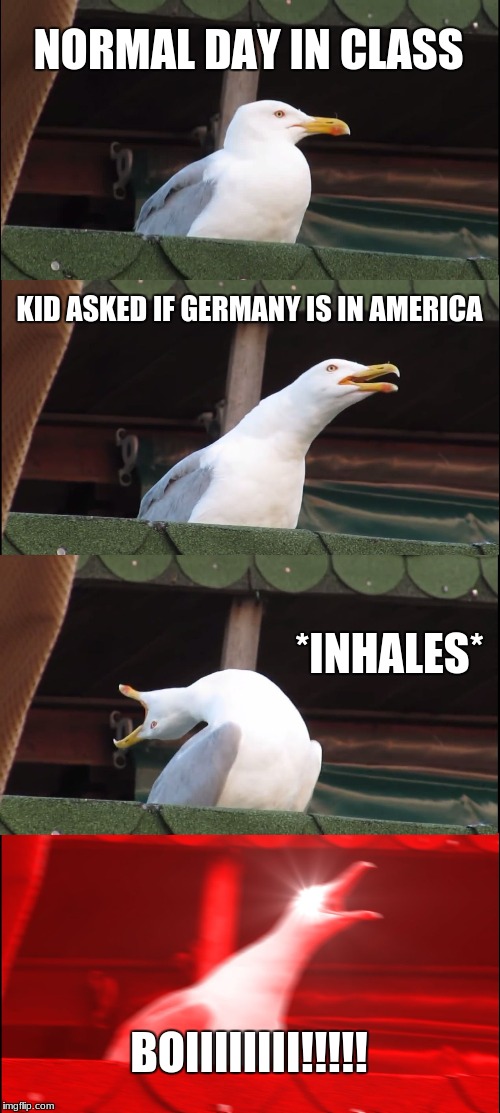 Inhaling Seagull | NORMAL DAY IN CLASS; KID ASKED IF GERMANY IS IN AMERICA; *INHALES*; BOIIIIIIII!!!!! | image tagged in memes,inhaling seagull | made w/ Imgflip meme maker