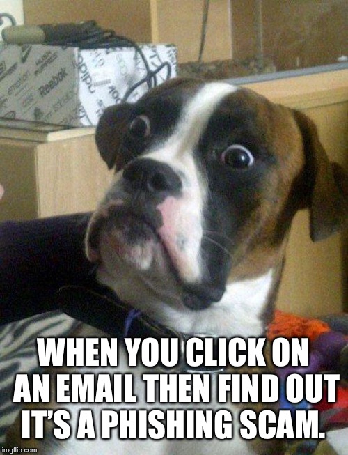 Blankie the Shocked Dog | WHEN YOU CLICK ON AN EMAIL THEN FIND OUT IT’S A PHISHING SCAM. | image tagged in blankie the shocked dog | made w/ Imgflip meme maker