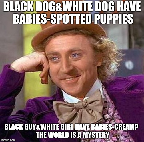Creepy Condescending Wonka Meme | BLACK DOG&WHITE DOG HAVE BABIES-SPOTTED PUPPIES; BLACK GUY&WHITE GIRL HAVE BABIES-CREAM?
 THE WORLD IS A MYSTERY | image tagged in memes,creepy condescending wonka | made w/ Imgflip meme maker