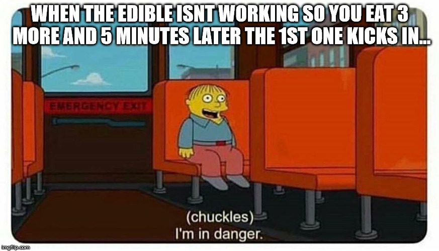 Ralph in danger | WHEN THE EDIBLE ISNT WORKING SO YOU EAT 3 MORE AND 5 MINUTES LATER THE 1ST ONE KICKS IN... | image tagged in ralph in danger | made w/ Imgflip meme maker