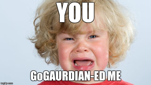 YOU; GoGAURDIAN-ED ME | image tagged in rage | made w/ Imgflip meme maker