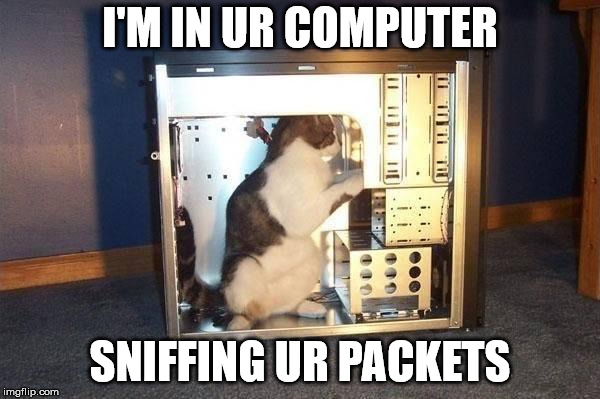 cat in computer | I'M IN UR COMPUTER; SNIFFING UR PACKETS | image tagged in cat in computer | made w/ Imgflip meme maker