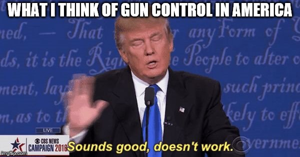 Beating a dead horse much? | WHAT I THINK OF GUN CONTROL IN AMERICA | image tagged in memes,political meme,gun control,beating a dead horse | made w/ Imgflip meme maker