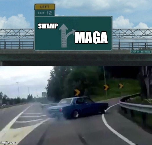 MAGA | MAGA; SWAMP | image tagged in memes,drain the swamp,maga | made w/ Imgflip meme maker