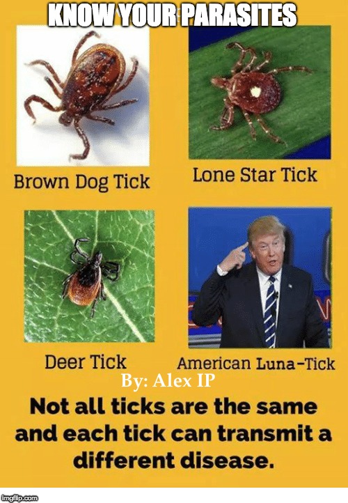 KNOW YOUR PARASITES | image tagged in trump | made w/ Imgflip meme maker