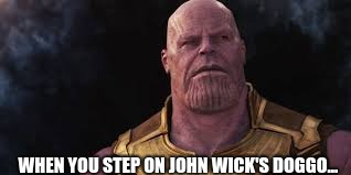 John Wick | WHEN YOU STEP ON JOHN WICK'S DOGGO... | image tagged in thanos | made w/ Imgflip meme maker