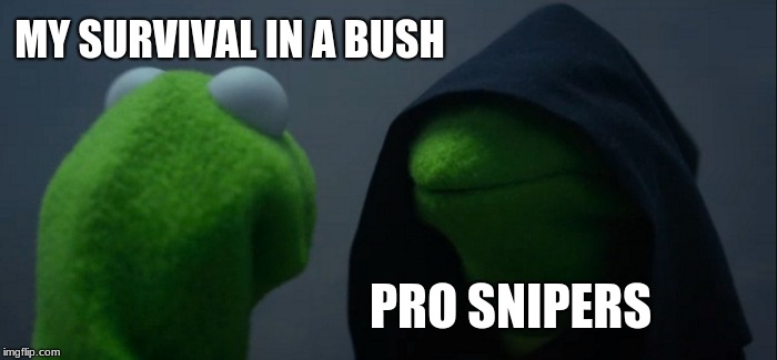 Evil Kermit | MY SURVIVAL IN A BUSH; PRO SNIPERS | image tagged in memes,evil kermit | made w/ Imgflip meme maker