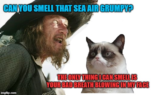 Grumpy Pirate | CAN YOU SMELL THAT SEA AIR GRUMPY? THE ONLY THING I CAN SMELL IS YOUR BAD BREATH BLOWING IN MY FACE | image tagged in funny memes,grumpy cat,barbosa and sparrow,pirate,cat | made w/ Imgflip meme maker