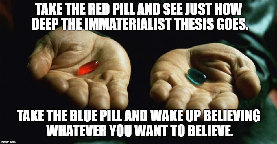 Red pill blue pill | TAKE THE RED PILL AND SEE JUST HOW DEEP THE IMMATERIALIST THESIS GOES. TAKE THE BLUE PILL AND WAKE UP BELIEVING WHATEVER YOU WANT TO BELIEVE. | image tagged in red pill blue pill | made w/ Imgflip meme maker