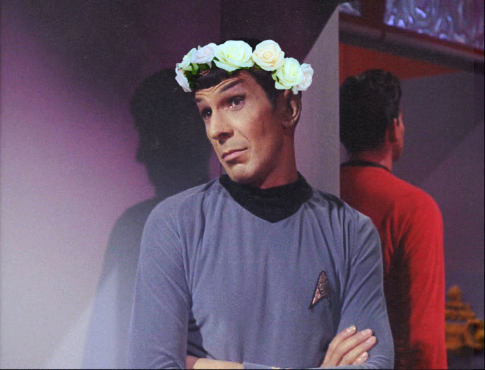 High Quality Princess Spock, high maontenance, star trek Blank Meme Template