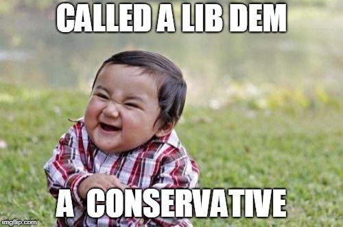 Britain in Vain | CALLED A LIB DEM; A  CONSERVATIVE | image tagged in memes,evil toddler,funny,britain,politics | made w/ Imgflip meme maker