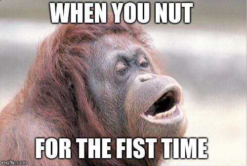 Monkey OOH Meme | WHEN YOU NUT; FOR THE FIST TIME | image tagged in memes,monkey ooh | made w/ Imgflip meme maker
