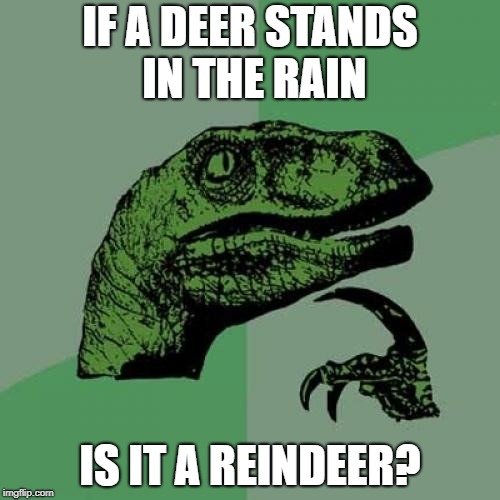 Philosoraptor Meme | IF A DEER STANDS IN THE RAIN; IS IT A REINDEER? | image tagged in memes,philosoraptor | made w/ Imgflip meme maker