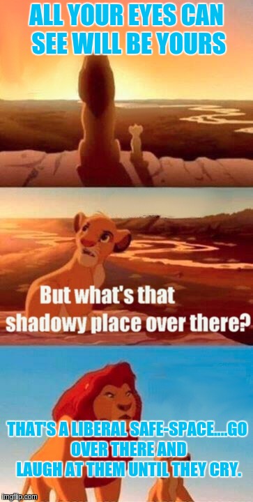 Simba Shadowy Place Meme | ALL YOUR EYES CAN SEE WILL BE YOURS; THAT'S A LIBERAL SAFE-SPACE....GO OVER THERE AND LAUGH AT THEM UNTIL THEY CRY. | image tagged in memes,simba shadowy place | made w/ Imgflip meme maker