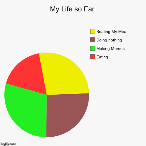 My Life so Far | Eating, Making Memes, Doing nothing, Beating My Meat | image tagged in funny,pie charts | made w/ Imgflip chart maker