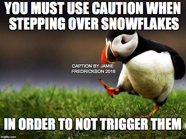 Unpopular Opinion Puffin Meme | YOU MUST USE CAUTION WHEN STEPPING OVER SNOWFLAKES; CAPTION BY JAMIE FREDRICKSON 2018; IN ORDER TO NOT TRIGGER THEM | image tagged in memes,unpopular opinion puffin | made w/ Imgflip meme maker