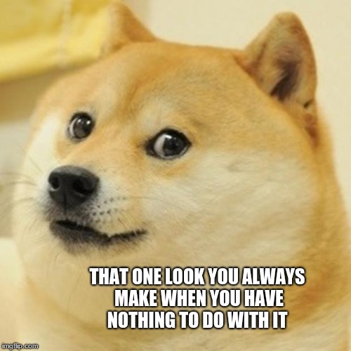 Doge Meme | THAT ONE LOOK YOU ALWAYS MAKE WHEN YOU HAVE NOTHING TO DO WITH IT | image tagged in memes,doge | made w/ Imgflip meme maker