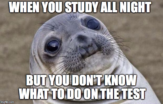 Awkward Moment Sealion | WHEN YOU STUDY ALL NIGHT; BUT YOU DON'T KNOW WHAT TO DO ON THE TEST | image tagged in memes,awkward moment sealion | made w/ Imgflip meme maker