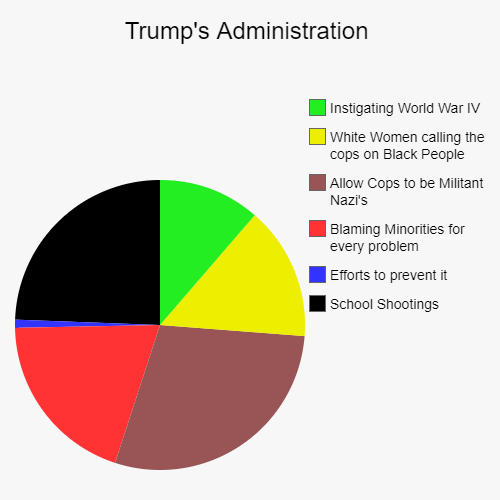 Everything Wrong with the American Government | Trump's Administration | School Shootings, Efforts to prevent it, Blaming Minorities for every problem, Allow Cops to be Militant Nazi's, Wh | image tagged in funny,pie charts,trump,government | made w/ Imgflip chart maker
