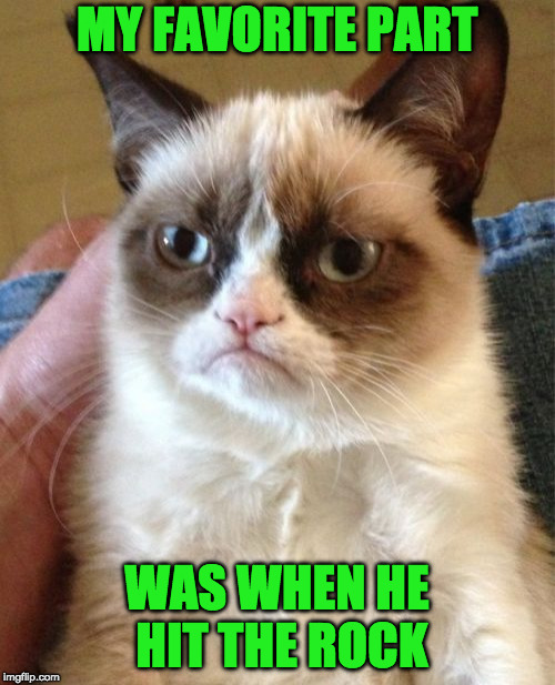 Grumpy Cat Meme | MY FAVORITE PART WAS WHEN HE HIT THE ROCK | image tagged in memes,grumpy cat | made w/ Imgflip meme maker