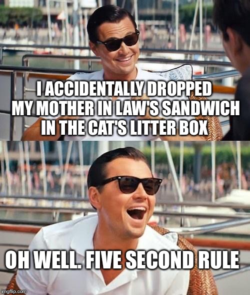 Leonardo Dicaprio Wolf Of Wall Street | I ACCIDENTALLY DROPPED MY MOTHER IN LAW'S SANDWICH IN THE CAT'S LITTER BOX; OH WELL. FIVE SECOND RULE | image tagged in memes,leonardo dicaprio wolf of wall street | made w/ Imgflip meme maker