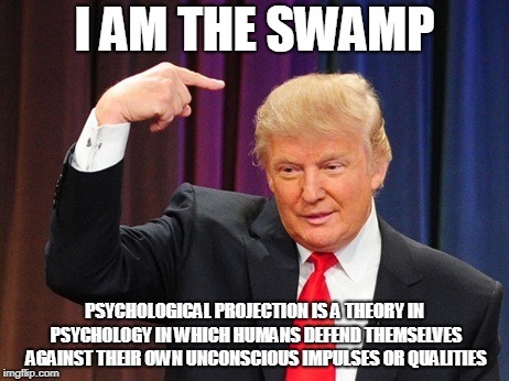 I am the Swamp | I AM THE SWAMP; PSYCHOLOGICAL PROJECTION IS A THEORY IN PSYCHOLOGY IN WHICH HUMANS DEFEND THEMSELVES AGAINST THEIR OWN UNCONSCIOUS IMPULSES OR QUALITIES | image tagged in swamp,trump,psychology,i am | made w/ Imgflip meme maker