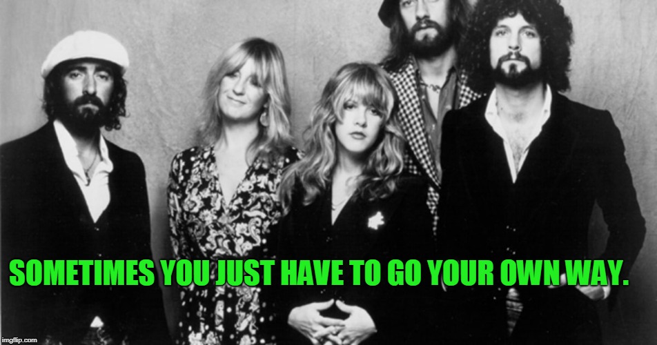 SOMETIMES YOU JUST HAVE TO GO YOUR OWN WAY. | image tagged in fleetwood mac | made w/ Imgflip meme maker