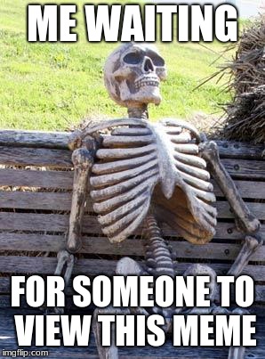 Waiting Skeleton | ME WAITING; FOR SOMEONE TO VIEW THIS MEME | image tagged in memes,waiting skeleton | made w/ Imgflip meme maker