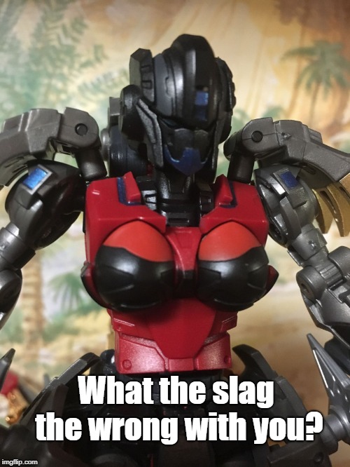 Echara | What the slag the wrong with you? | image tagged in echara | made w/ Imgflip meme maker