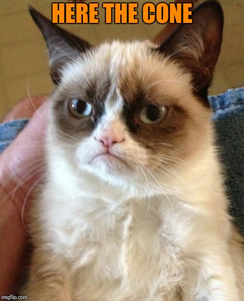 Grumpy Cat Meme | HERE THE CONE | image tagged in memes,grumpy cat | made w/ Imgflip meme maker