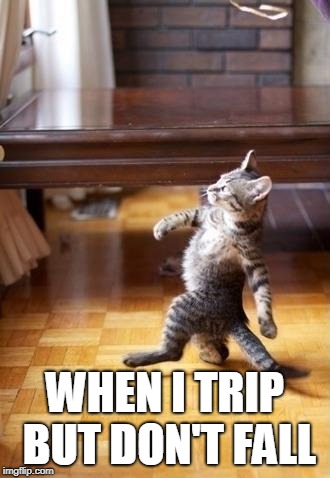 Cool Cat Stroll | WHEN I TRIP BUT DON'T FALL | image tagged in memes,cool cat stroll | made w/ Imgflip meme maker