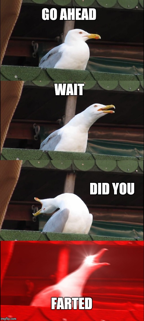 Inhaling Seagull Meme | GO AHEAD WAIT DID YOU FARTED | image tagged in memes,inhaling seagull | made w/ Imgflip meme maker
