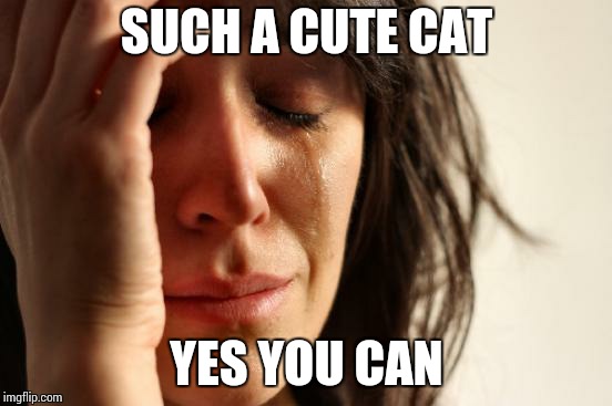 First World Problems Meme | SUCH A CUTE CAT YES YOU CAN | image tagged in memes,first world problems | made w/ Imgflip meme maker