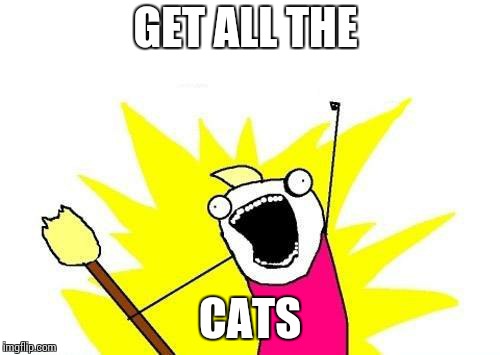 X All The Y Meme | GET ALL THE CATS | image tagged in memes,x all the y | made w/ Imgflip meme maker