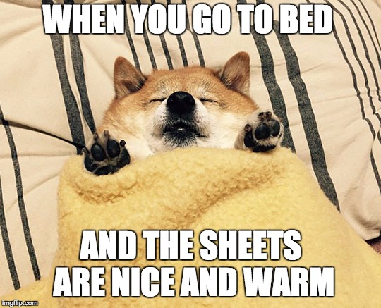WHEN YOU GO TO BED; AND THE SHEETS ARE NICE AND WARM | image tagged in shibaburrito | made w/ Imgflip meme maker