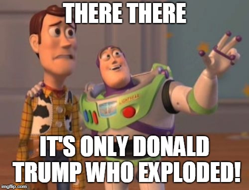 Sadness | THERE THERE; IT'S ONLY DONALD TRUMP WHO EXPLODED! | image tagged in memes,x x everywhere | made w/ Imgflip meme maker