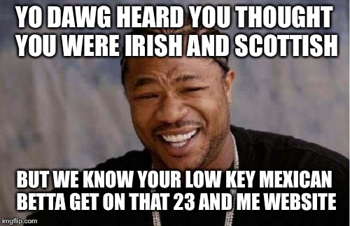 Yo Dawg Heard You Meme | YO DAWG HEARD YOU THOUGHT YOU WERE IRISH AND SCOTTISH; BUT WE KNOW YOUR LOW KEY MEXICAN BETTA GET ON THAT 23 AND ME WEBSITE | image tagged in memes,yo dawg heard you | made w/ Imgflip meme maker