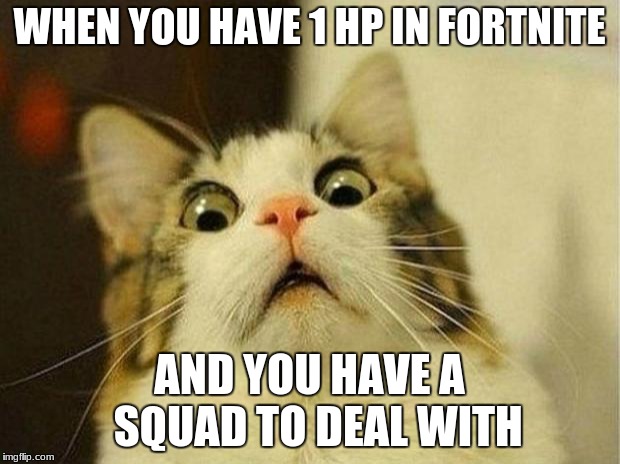 Scared Cat Meme | WHEN YOU HAVE 1 HP IN FORTNITE; AND YOU HAVE A  SQUAD TO DEAL WITH | image tagged in memes,scared cat | made w/ Imgflip meme maker