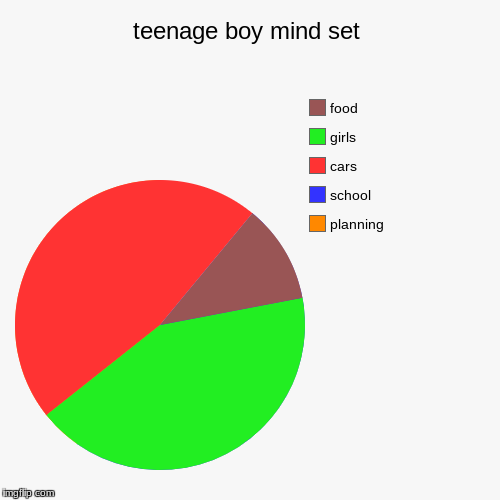 teenage boy mind set | planning, school, cars, girls, food | image tagged in funny,pie charts | made w/ Imgflip chart maker
