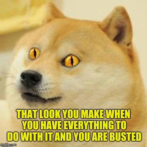 Doge Snake Eyes | THAT LOOK YOU MAKE WHEN YOU HAVE EVERYTHING TO DO WITH IT AND YOU ARE BUSTED | image tagged in doge snake eyes | made w/ Imgflip meme maker