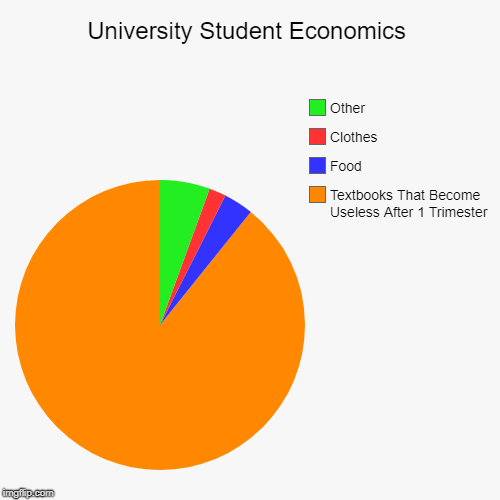 University Student Economics | Textbooks That Become Useless After 1 Trimester, Food, Clothes, Other | image tagged in funny,pie charts | made w/ Imgflip chart maker