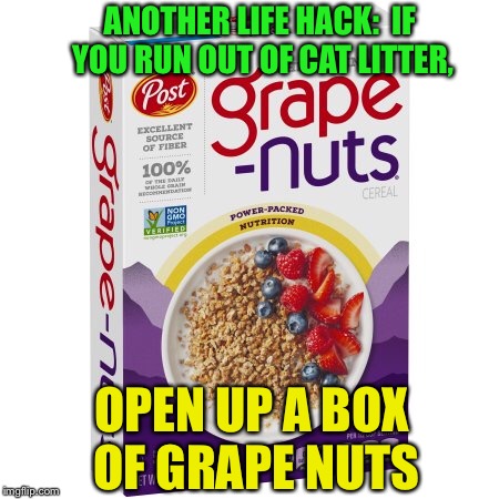 ANOTHER LIFE HACK:  IF YOU RUN OUT OF CAT LITTER, OPEN UP A BOX OF GRAPE NUTS | made w/ Imgflip meme maker