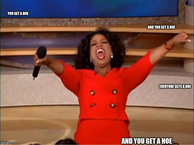 Oprah You Get A | YOU GET A HOE; AND YOU GET A HOE; EVERYONE GETS A HOE; AND YOU GET A HOE | image tagged in memes,oprah you get a | made w/ Imgflip meme maker