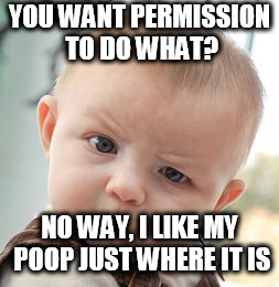 Skeptical Baby Meme | YOU WANT PERMISSION TO DO WHAT? NO WAY, I LIKE MY POOP JUST WHERE IT IS | image tagged in memes,skeptical baby | made w/ Imgflip meme maker