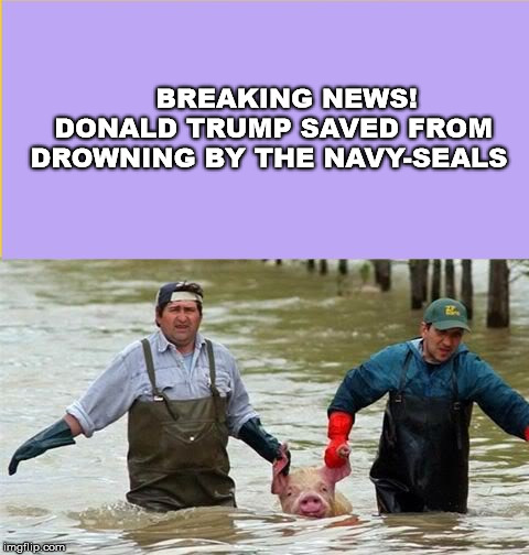 BREAKING NEWS! 
DONALD TRUMP SAVED FROM DROWNING BY THE NAVY-SEALS | image tagged in us-congresman | made w/ Imgflip meme maker