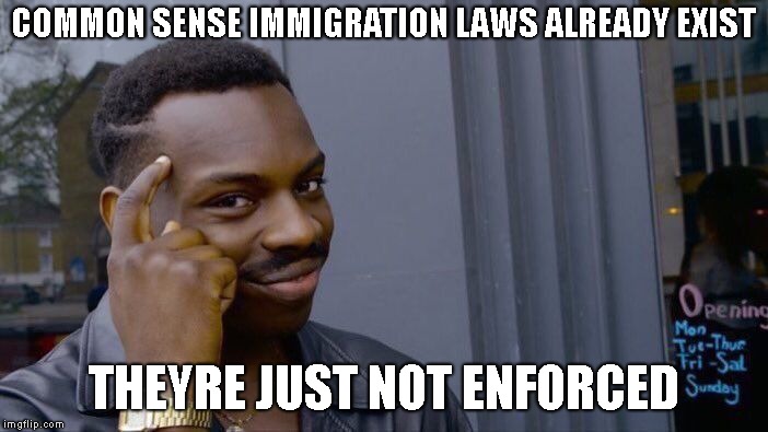 Roll Safe Think About It Meme | COMMON SENSE IMMIGRATION LAWS ALREADY EXIST THEYRE JUST NOT ENFORCED | image tagged in memes,roll safe think about it | made w/ Imgflip meme maker